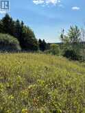 LOT 29 5TH LINE E | Mulmur Ontario | Slide Image Twelve