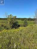 LOT 29 5TH LINE E | Mulmur Ontario | Slide Image Thirteen