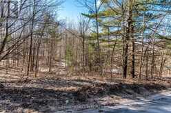 19 BIRCH GROVE DRIVE | Oro-Medonte Ontario | Slide Image Two