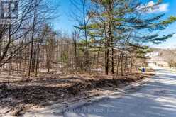 19 BIRCH GROVE DRIVE | Oro-Medonte Ontario | Slide Image Four