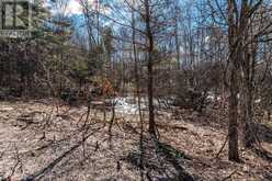 19 BIRCH GROVE DRIVE | Oro-Medonte Ontario | Slide Image Eight