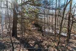 19 BIRCH GROVE DRIVE | Oro-Medonte Ontario | Slide Image Nine