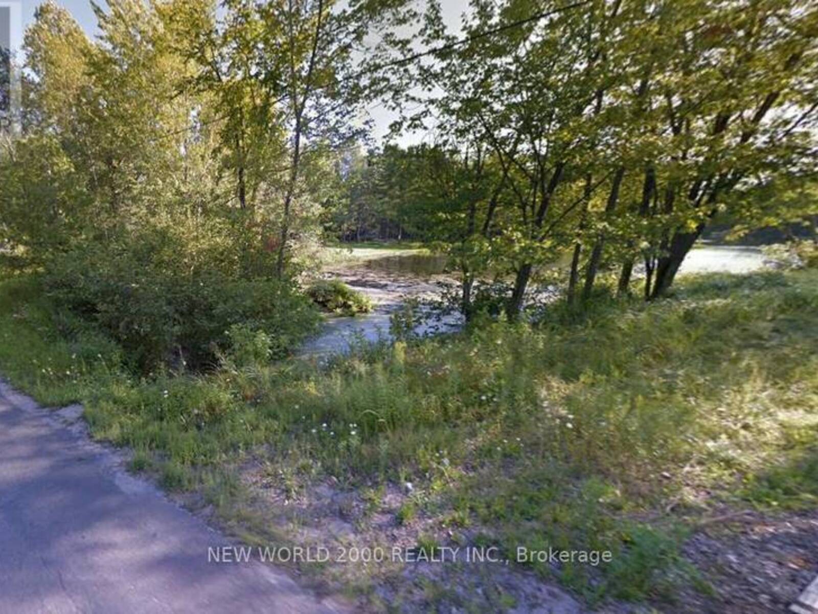 7816 RIVERLEIGH DRIVE, Washago, Ontario L0K 2B0