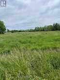 N/A HIGHWAY 48 | Georgina Ontario | Slide Image Two