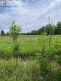 N/A HIGHWAY 48 | Georgina Ontario | Slide Image Three