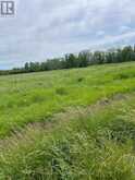 N/A HIGHWAY 48 | Georgina Ontario | Slide Image Four