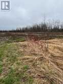 N/A HIGHWAY 48 | Georgina Ontario | Slide Image Six