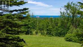 8886 COUNTY ROAD 91 | Duntroon Ontario | Slide Image Twenty-three