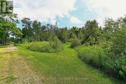 836206 4TH LINE | Mulmur Ontario | Slide Image Forty-nine