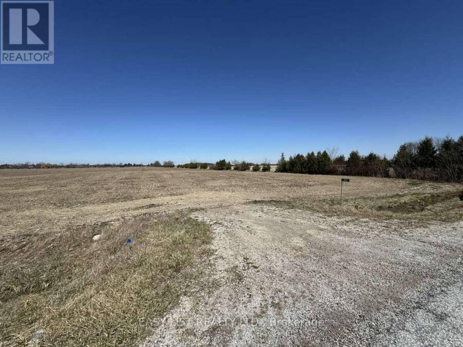 301 ROAD 11, Kingsville, Ontario N0R 1V0