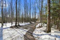 78 INDIAN TRAIL | Georgian Bluffs Ontario | Slide Image Three
