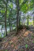 LOT 13 4 WHEEL DRIVE | Gravenhurst Ontario | Slide Image Thirteen