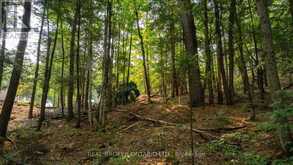 LOT 13 4 WHEEL DRIVE | Gravenhurst Ontario | Slide Image Fifteen