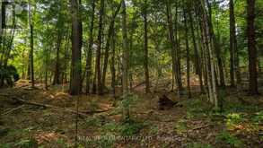 LOT 13 4 WHEEL DRIVE | Gravenhurst Ontario | Slide Image Sixteen