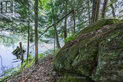 LOT 13 4 WHEEL DRIVE | Gravenhurst Ontario | Slide Image Seven