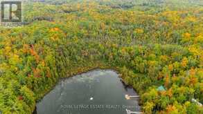 BLOCK B CREGO LAKE ROAD | Minden Hills Ontario | Slide Image Five