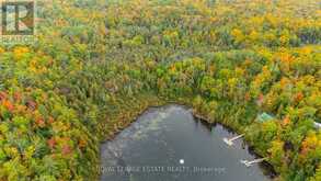 BLOCK B CREGO LAKE ROAD | Minden Hills Ontario | Slide Image Seven