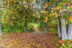BLOCK B CREGO LAKE ROAD | Minden Hills Ontario | Slide Image Nine