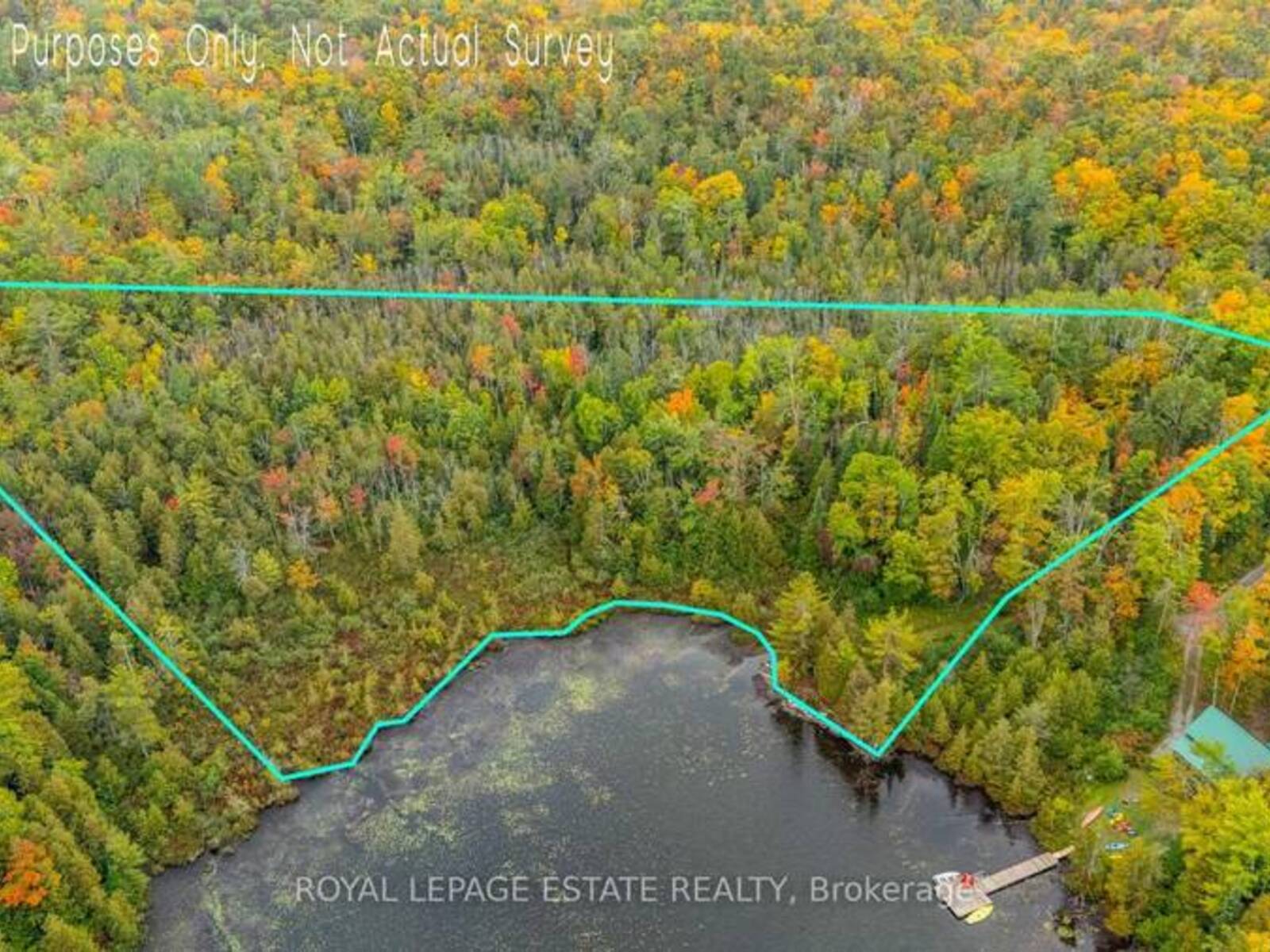 BLOCK B CREGO LAKE ROAD, Minden Hills, Ontario K0M 2A1