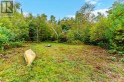 LOT 18 CREGO LAKE ROAD | Minden Hills Ontario | Slide Image Fifteen