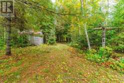 LOT 18 CREGO LAKE ROAD | Minden Hills Ontario | Slide Image Eighteen