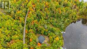 LOT 18 CREGO LAKE ROAD | Minden Hills Ontario | Slide Image Six