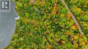LOT 18 CREGO LAKE ROAD | Minden Hills Ontario | Slide Image Seven