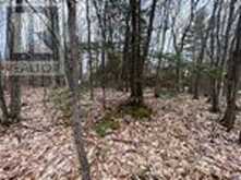 LOT 705 WOLFE TRAIL | Tiny Ontario | Slide Image Two