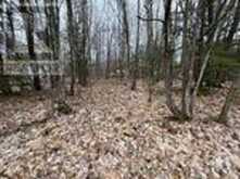 LOT 705 WOLFE TRAIL | Tiny Ontario | Slide Image Three