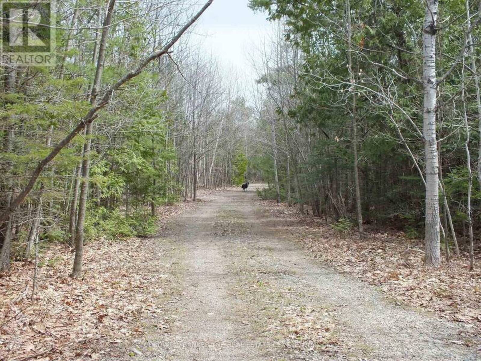 N/A DIAL ROAD N, Manitoulin Island, Ontario P0P 2C0