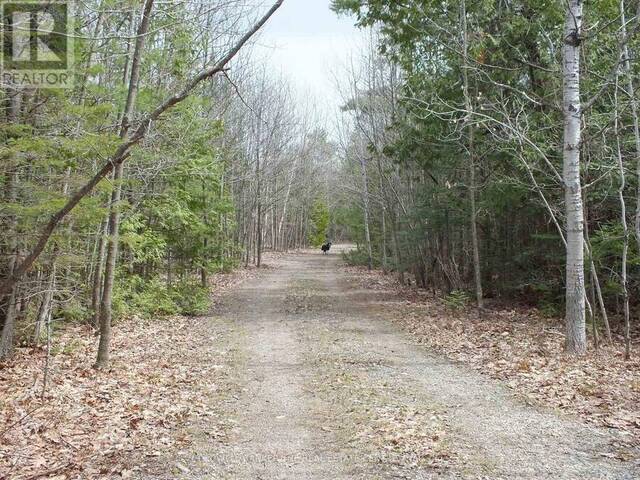 N/A DIAL ROAD N Manitoulin Island Ontario, P0P 2C0 - Vacant Land For Sale