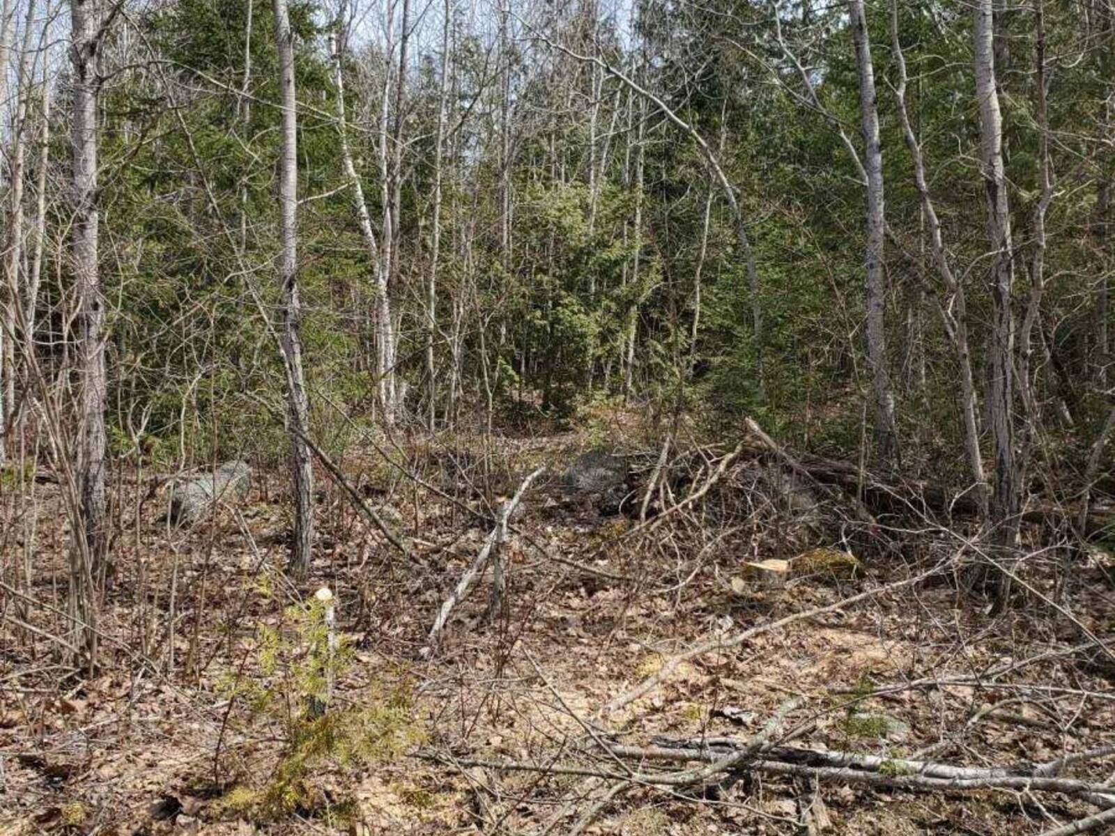 13476 HWY. 542 HIGHWAY, Manitoulin Island, Ontario P0P 1H0