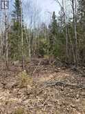 13476 HWY. 542 HIGHWAY | Manitoulin Island Ontario | Slide Image One