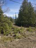 13476 HWY. 542 HIGHWAY | Manitoulin Island Ontario | Slide Image Seven