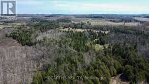 516172 COUNTY 124 ROAD | Melancthon Ontario | Slide Image Eight