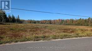 1172 BARKWAY ROAD | Gravenhurst Ontario | Slide Image Two