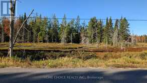 1172 BARKWAY ROAD | Gravenhurst Ontario | Slide Image Six