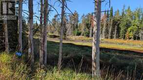 1172 BARKWAY ROAD | Gravenhurst Ontario | Slide Image Nine