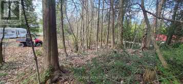 48 WALDWEG | Scugog Ontario | Slide Image Two