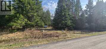 48 WALDWEG | Scugog Ontario | Slide Image Six