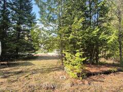 48 WALDWEG Scugog Ontario, L0B 1B0