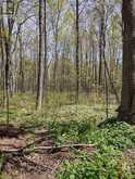 PTL 26 & PTL 27, CON 7, ORO | Oro-Medonte Ontario | Slide Image Nineteen