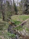 PTL 26 & PTL 27, CON 7, ORO | Oro-Medonte Ontario | Slide Image Twenty
