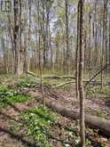 PTL 26 & PTL 27, CON 7, ORO | Oro-Medonte Ontario | Slide Image Twenty-two