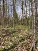 PTL 26 & PTL 27, CON 7, ORO | Oro-Medonte Ontario | Slide Image Twenty-three