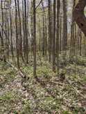 PTL 26 & PTL 27, CON 7, ORO | Oro-Medonte Ontario | Slide Image Twenty-four