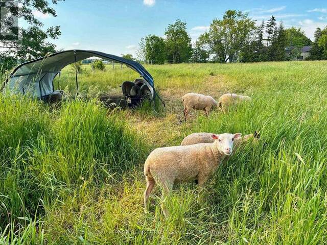 3680 CAMPDEN ROAD Beamsville Ontario, L0R 1G0 - Farm For Sale