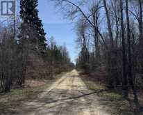 N/A 8TH CONCESSION | Georgina Ontario | Slide Image Four