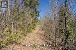 3349 DEEP BAY ROAD | Minden Hills Ontario | Slide Image Thirteen