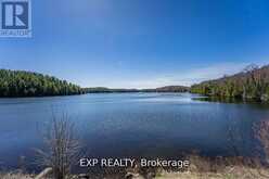 3349 DEEP BAY ROAD | Minden Hills Ontario | Slide Image Nine